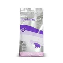 iceland pet kattunge